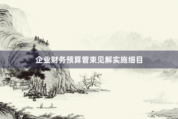 企业财务预算管束见解实施细目